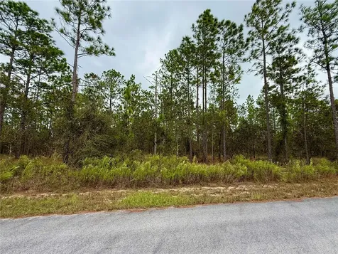 0 NW Alvarez Road Dunnellon FL 34431