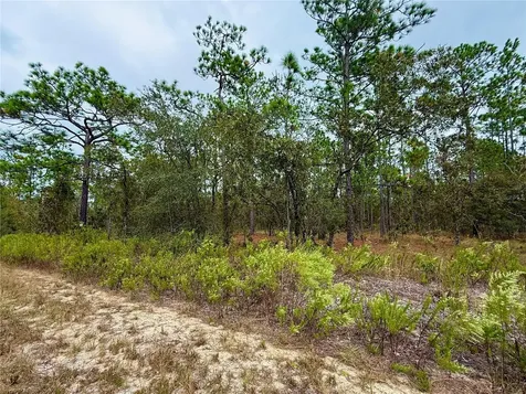 0 NW Alvarez Road Dunnellon FL 34431