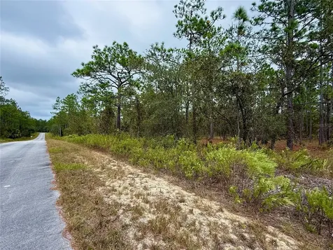 0 NW Alvarez Road Dunnellon FL 34431