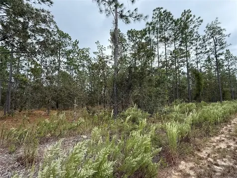 0 NW Alvarez Road Dunnellon FL 34431