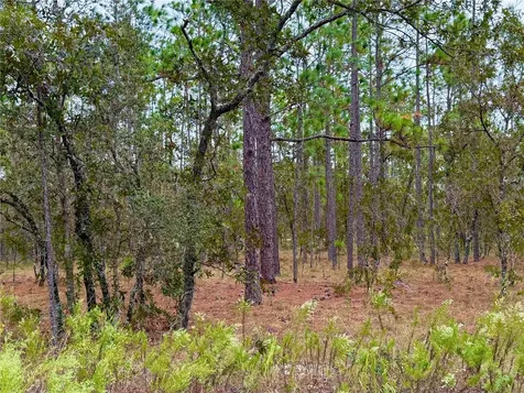 0 NW Alvarez Road Dunnellon FL 34431