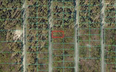 0 NW Alvarez Road Dunnellon FL 34431