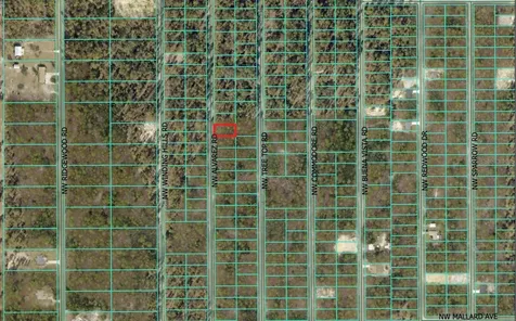 0 NW Alvarez Road Dunnellon FL 34431