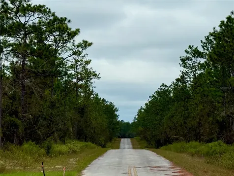 0 NW Alvarez Road Dunnellon FL 34431