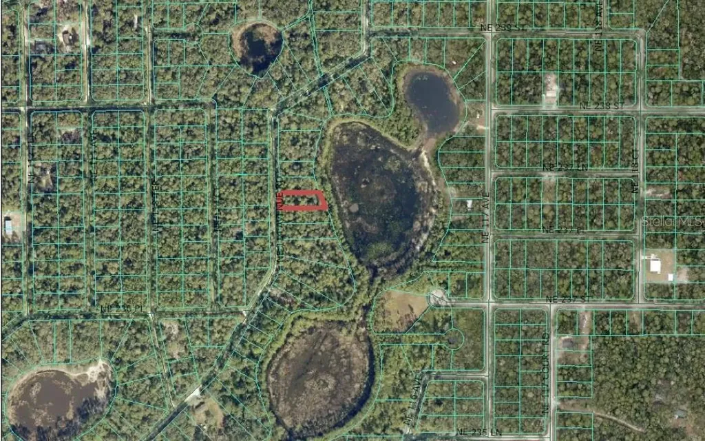 0 NE 114th Avenue Road Fort Mc Coy FL 32134