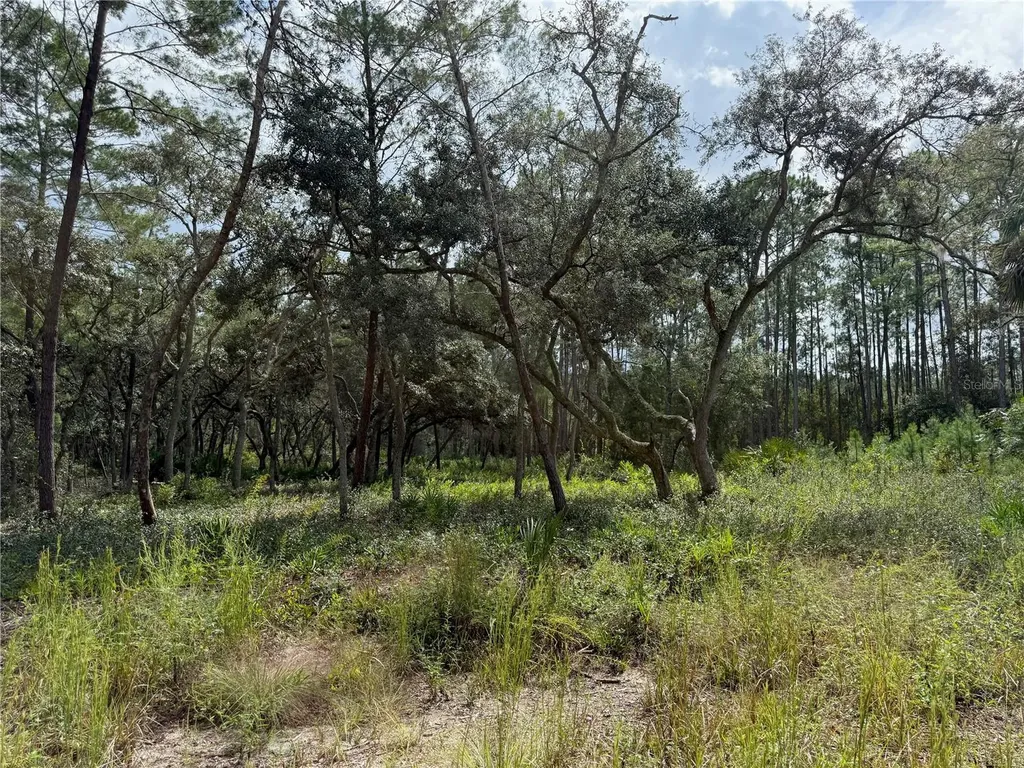 0 NE 114th Avenue Road Fort Mc Coy FL 32134