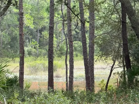 0 NE 114th Avenue Road Fort Mc Coy FL 32134