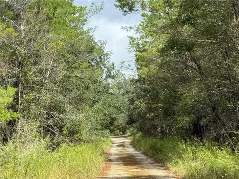 0 NE 114th Avenue Road Fort Mc Coy FL 32134