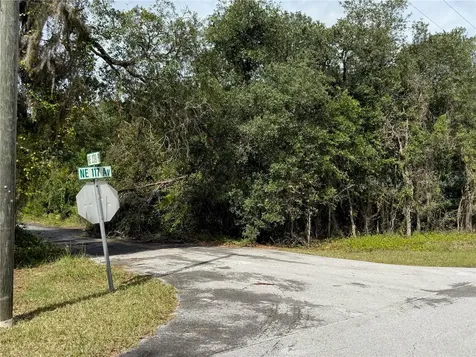 0 NE 114th Avenue Road Fort Mc Coy FL 32134