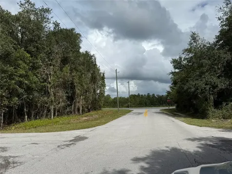 0 NE 114th Avenue Road Fort Mc Coy FL 32134