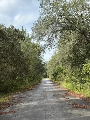 0 NE 114th Avenue Road Fort Mc Coy FL 32134