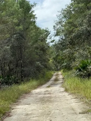 0 NE 114th Avenue Road Fort Mc Coy FL 32134
