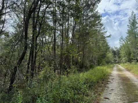0 NE 114th Avenue Road Fort Mc Coy FL 32134