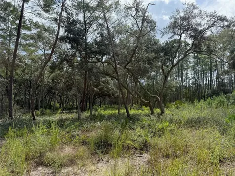 0 NE 114th Avenue Road Fort Mc Coy FL 32134