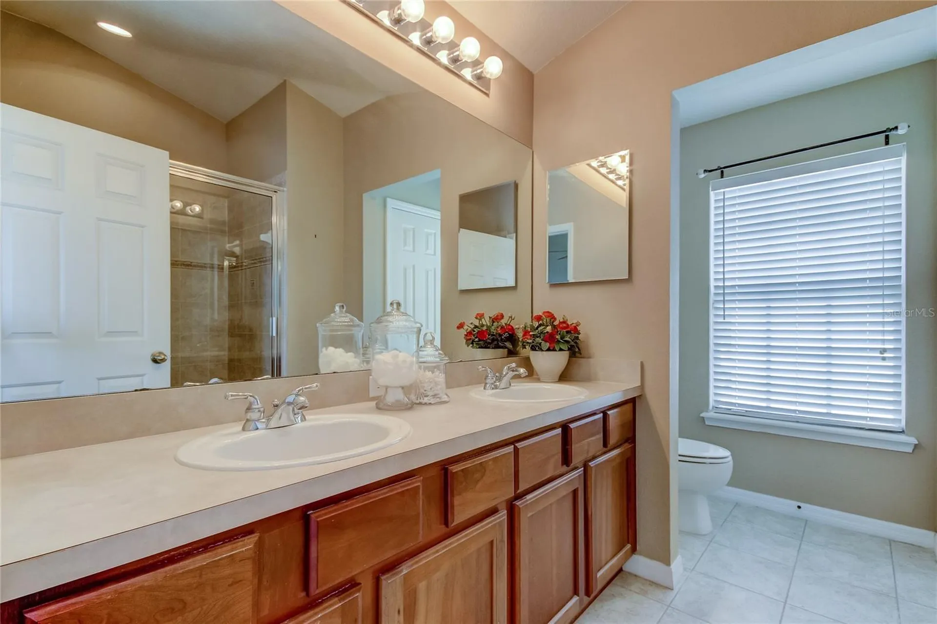5329 Anhinga Trail New Port Richey FL 34653