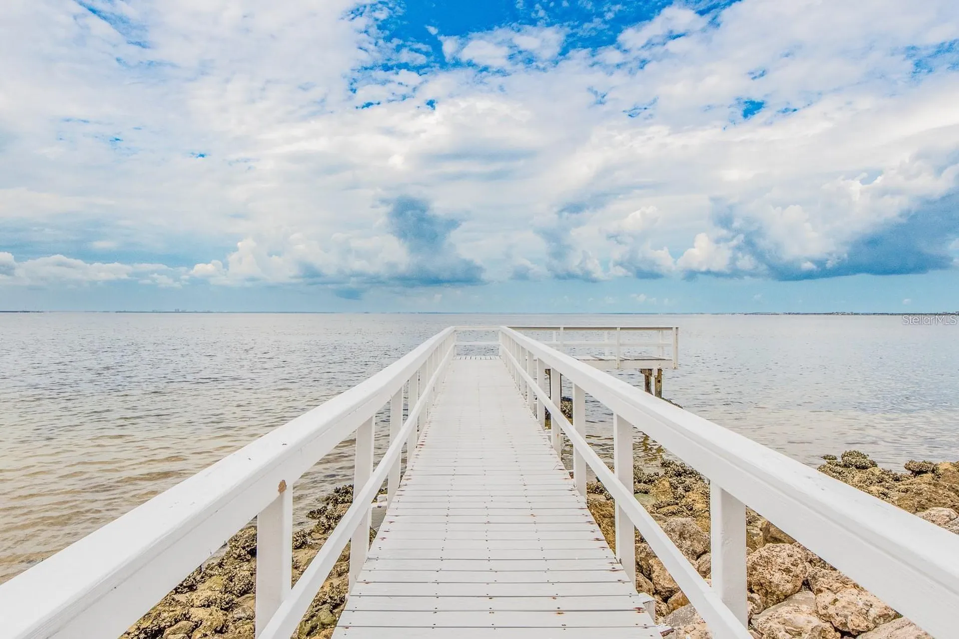 2506 N Rocky Point Drive Tampa FL 33607