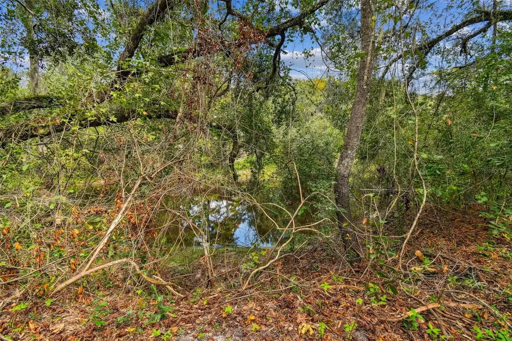 5466 And 5476 Cyril Drive Dade City FL 33523