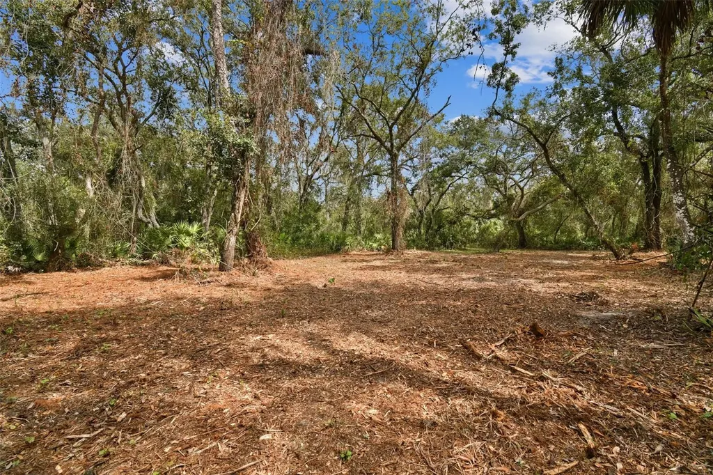 5466 And 5476 Cyril Drive Dade City FL 33523