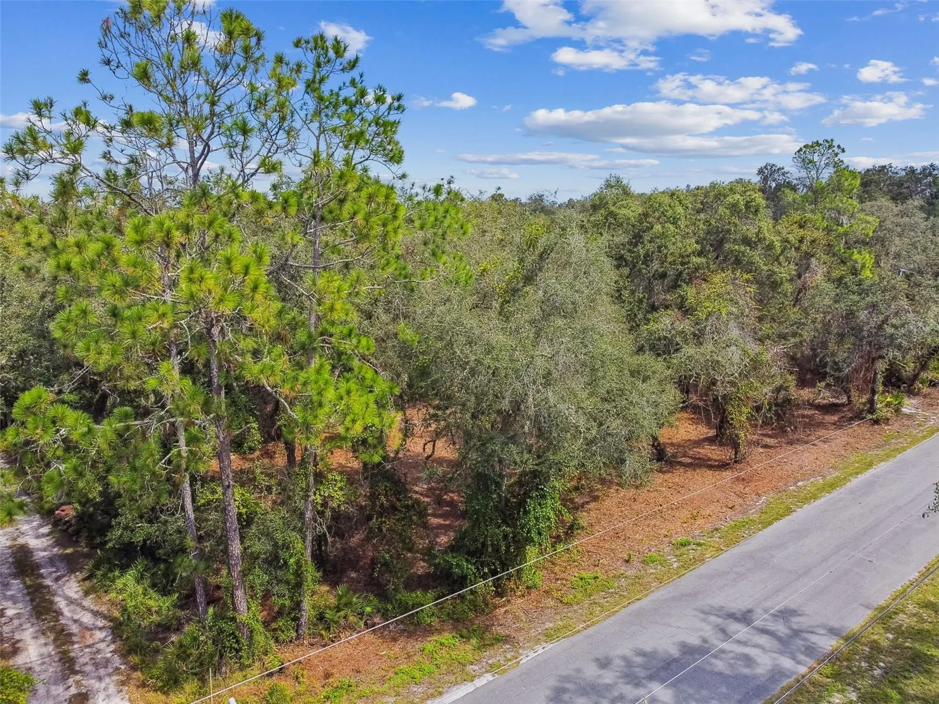 5466 And 5476 Cyril Drive Dade City FL 33523