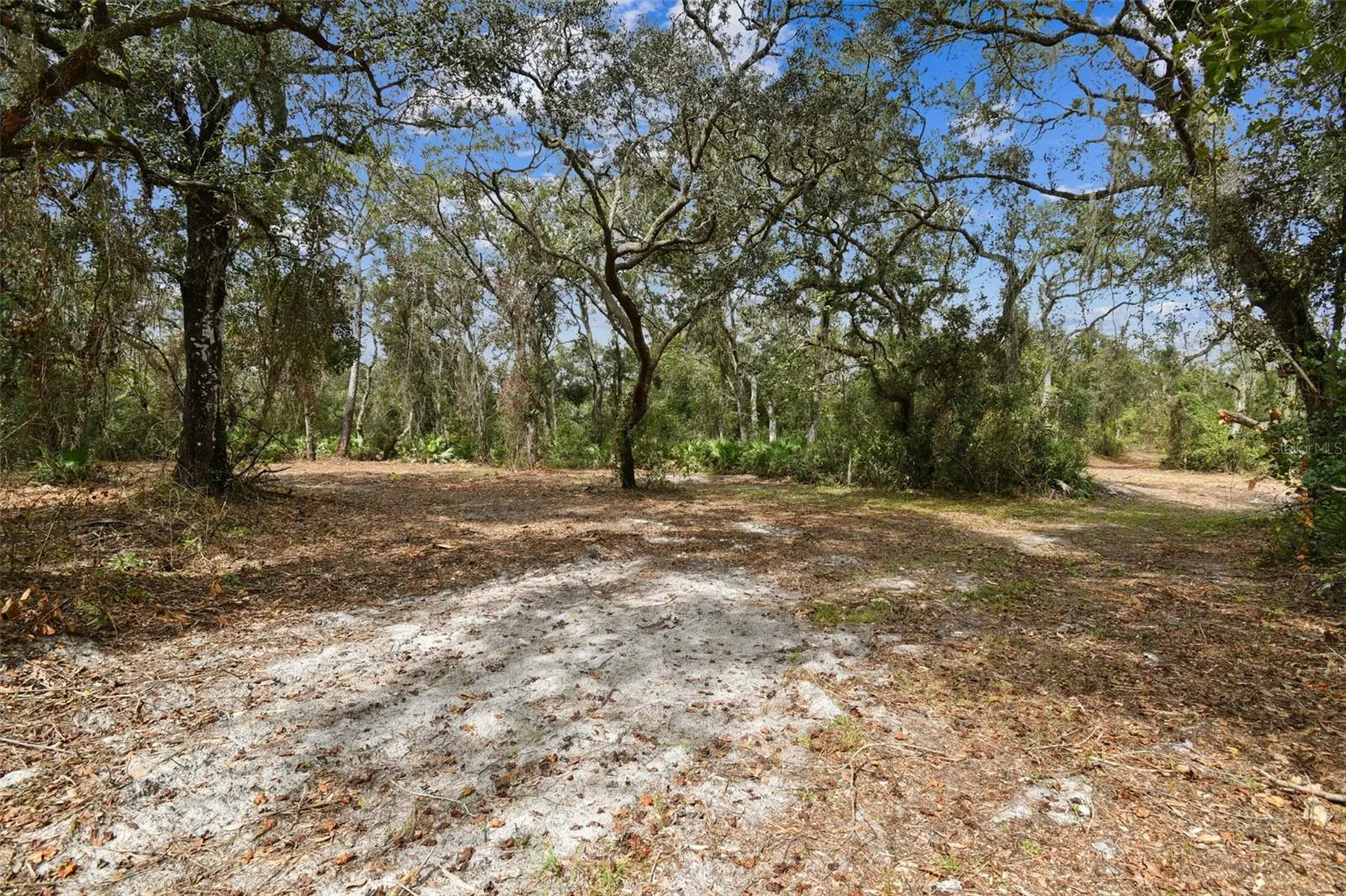 5466 And 5476 Cyril Drive Dade City FL 33523