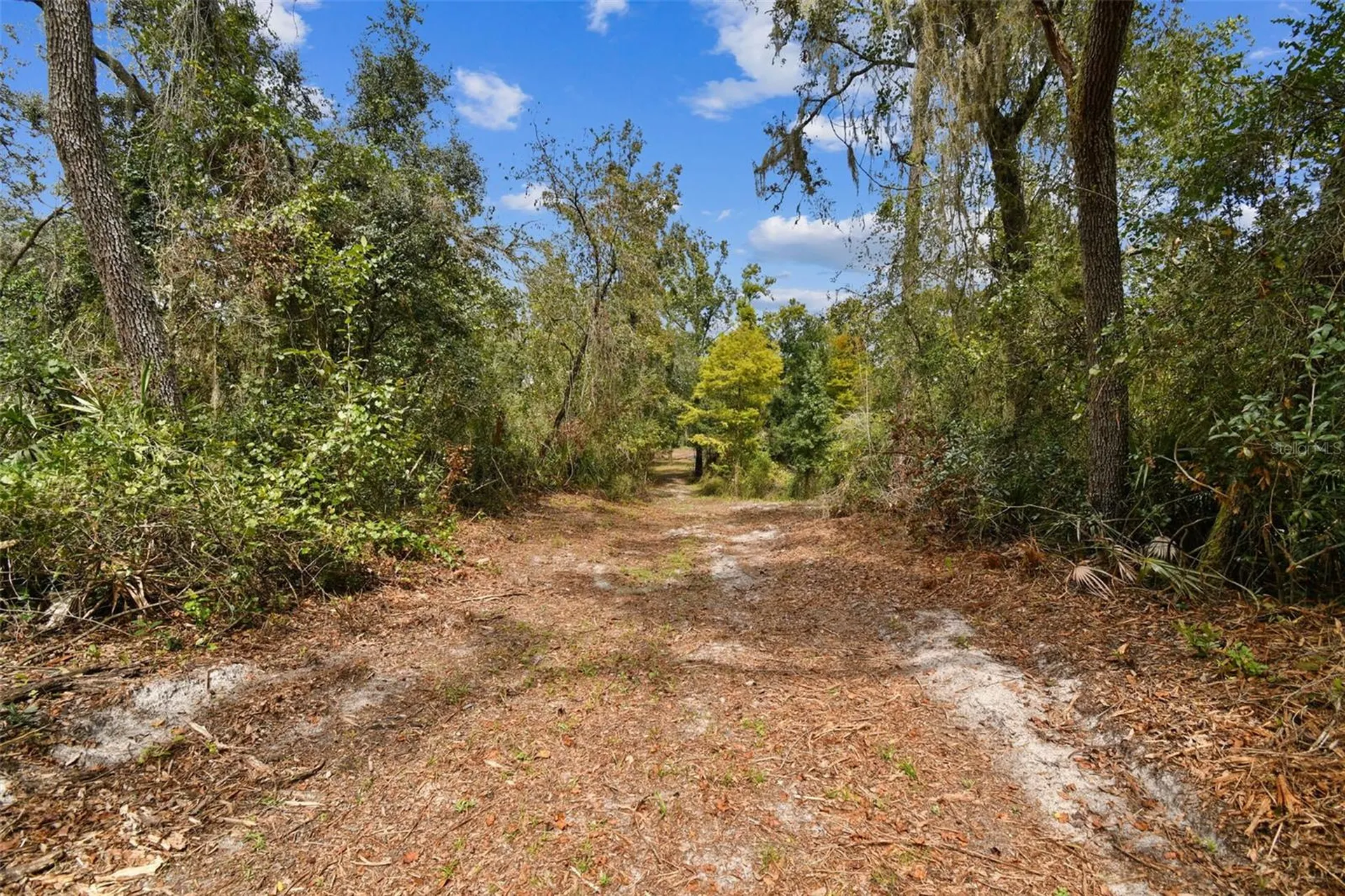 5466 And 5476 Cyril Drive Dade City FL 33523