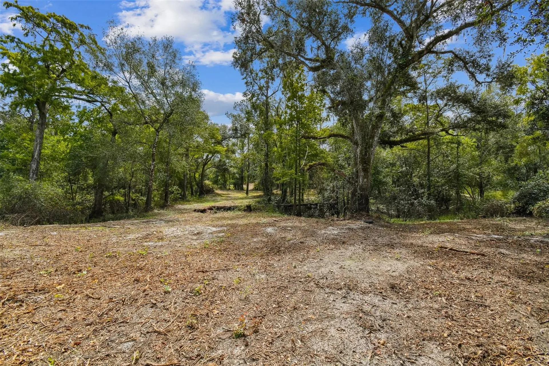 5466 And 5476 Cyril Drive Dade City FL 33523