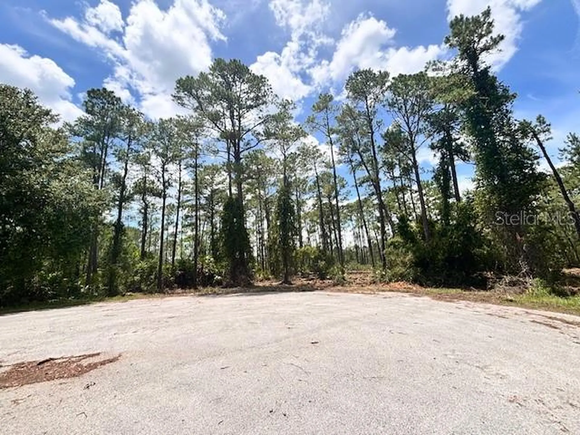 Chinaberry Way Eustis FL 32736
