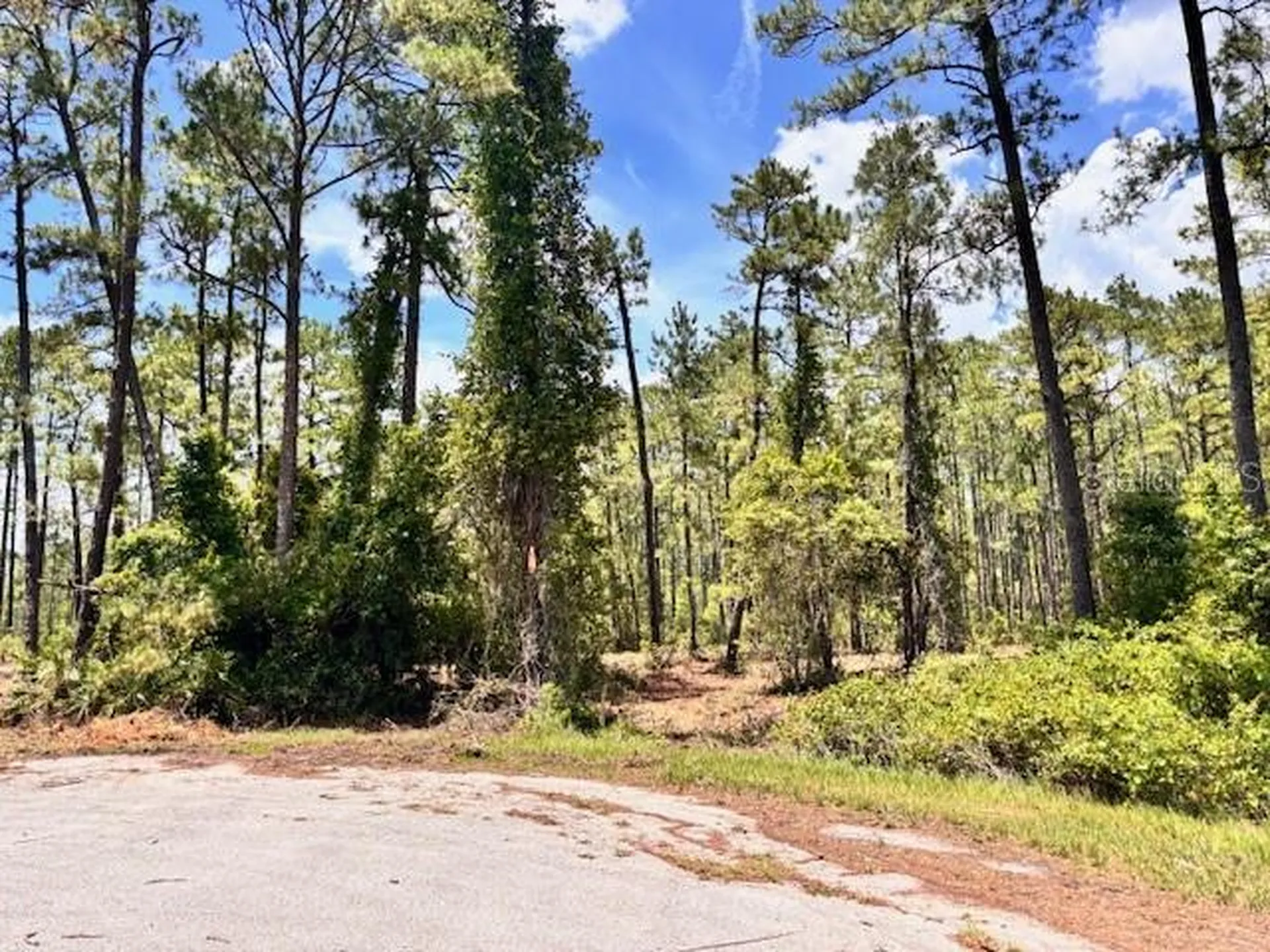 Chinaberry Way Eustis FL 32736