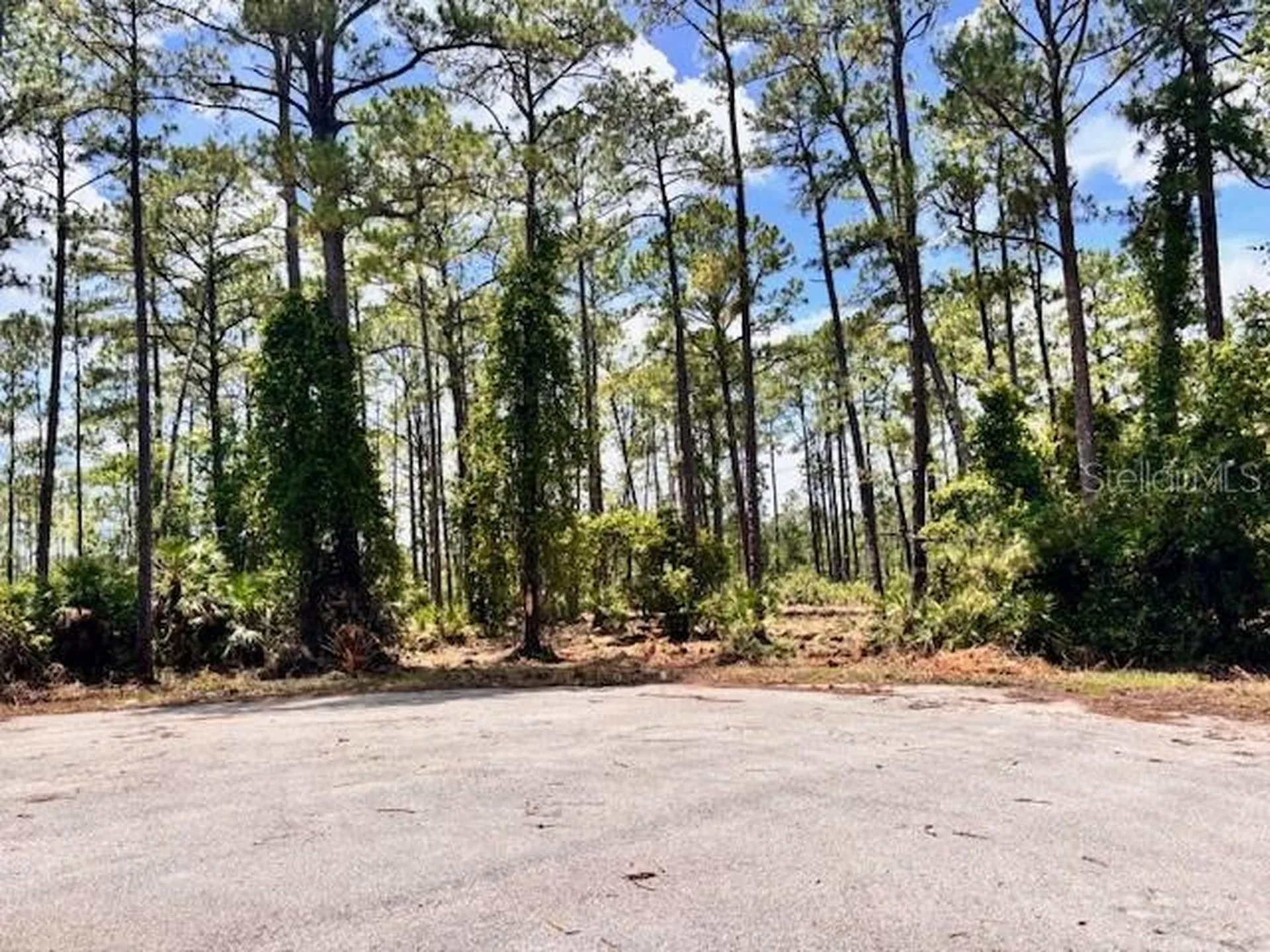 Chinaberry Way Eustis FL 32736