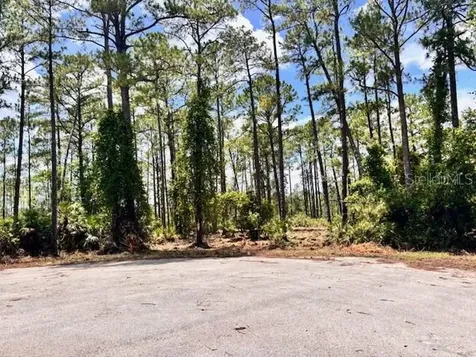 Chinaberry Way Eustis FL 32736