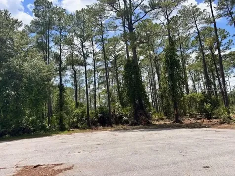 Chinaberry Way Eustis FL 32736