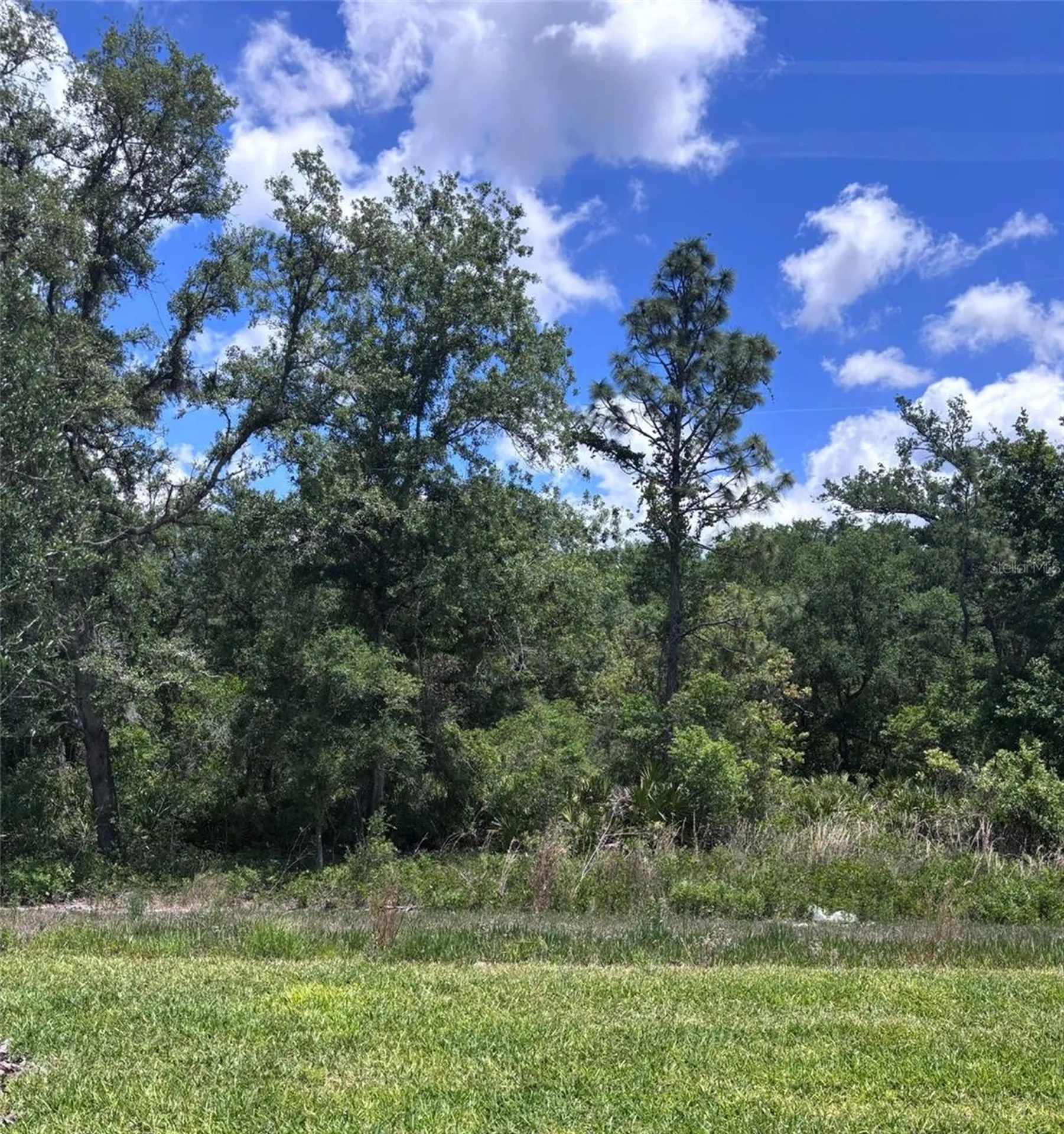 13622 Canyon Ridge Road Spring Hill FL 34610