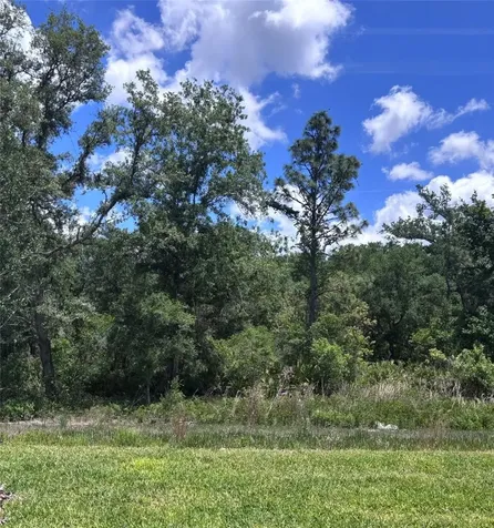 13622 Canyon Ridge Road Spring Hill FL 34610