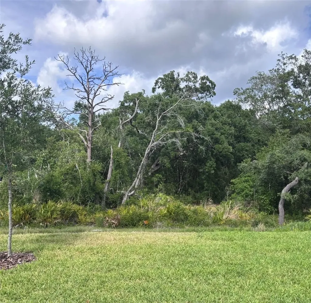 13652 Canyon Ridge Road Spring Hill FL 34610