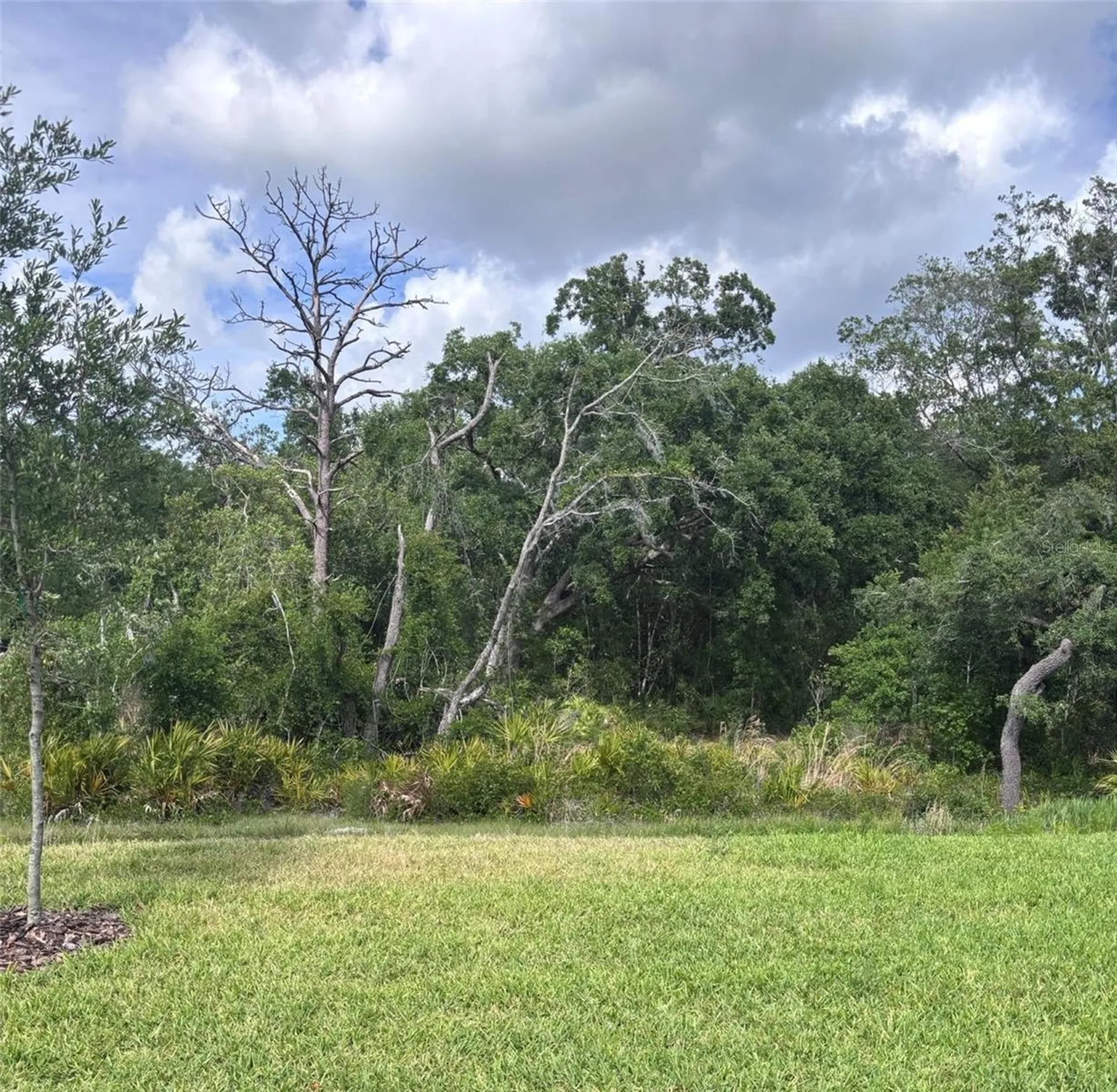 13652 Canyon Ridge Road Spring Hill FL 34610