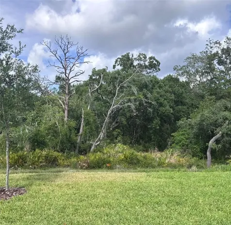 13652 Canyon Ridge Road Spring Hill FL 34610