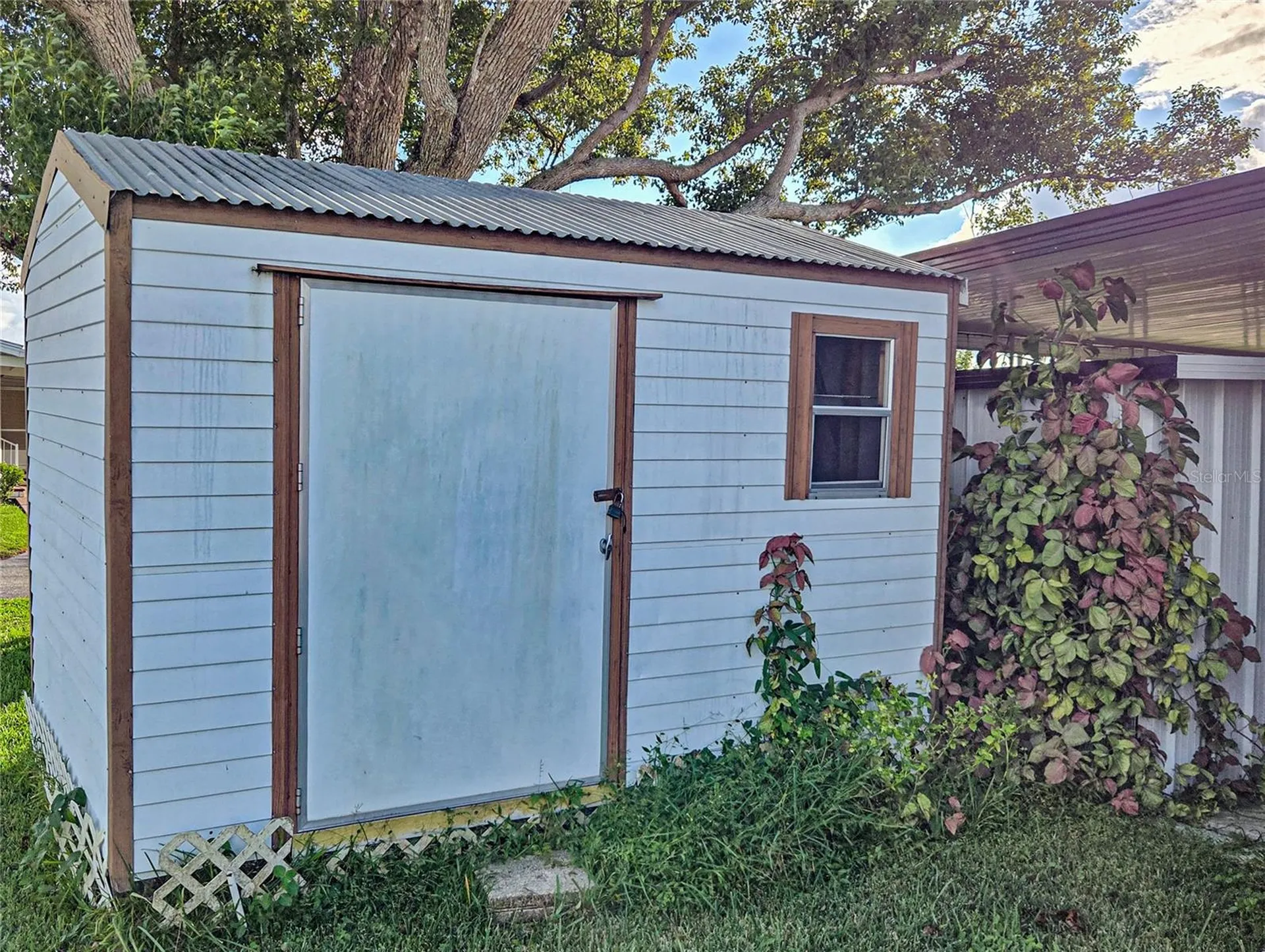 5316 Comanche Street Zephyrhills FL 33542