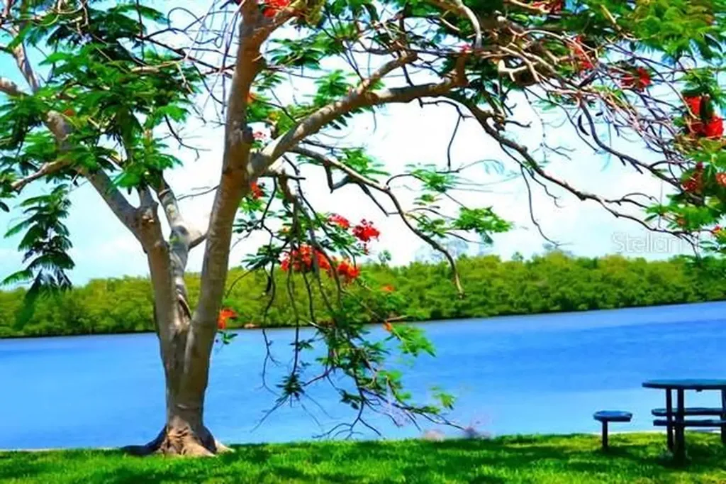 611 Destiny Drive Ruskin FL 33570