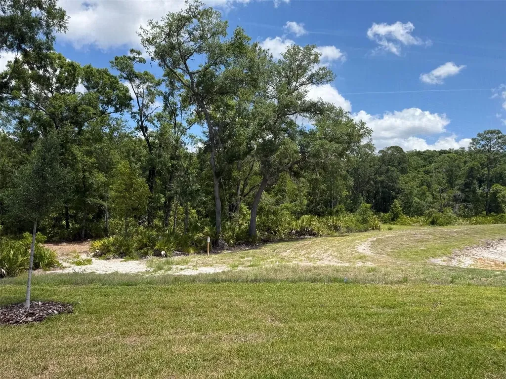 13552 Canyon Ridge Road Spring Hill FL 34610