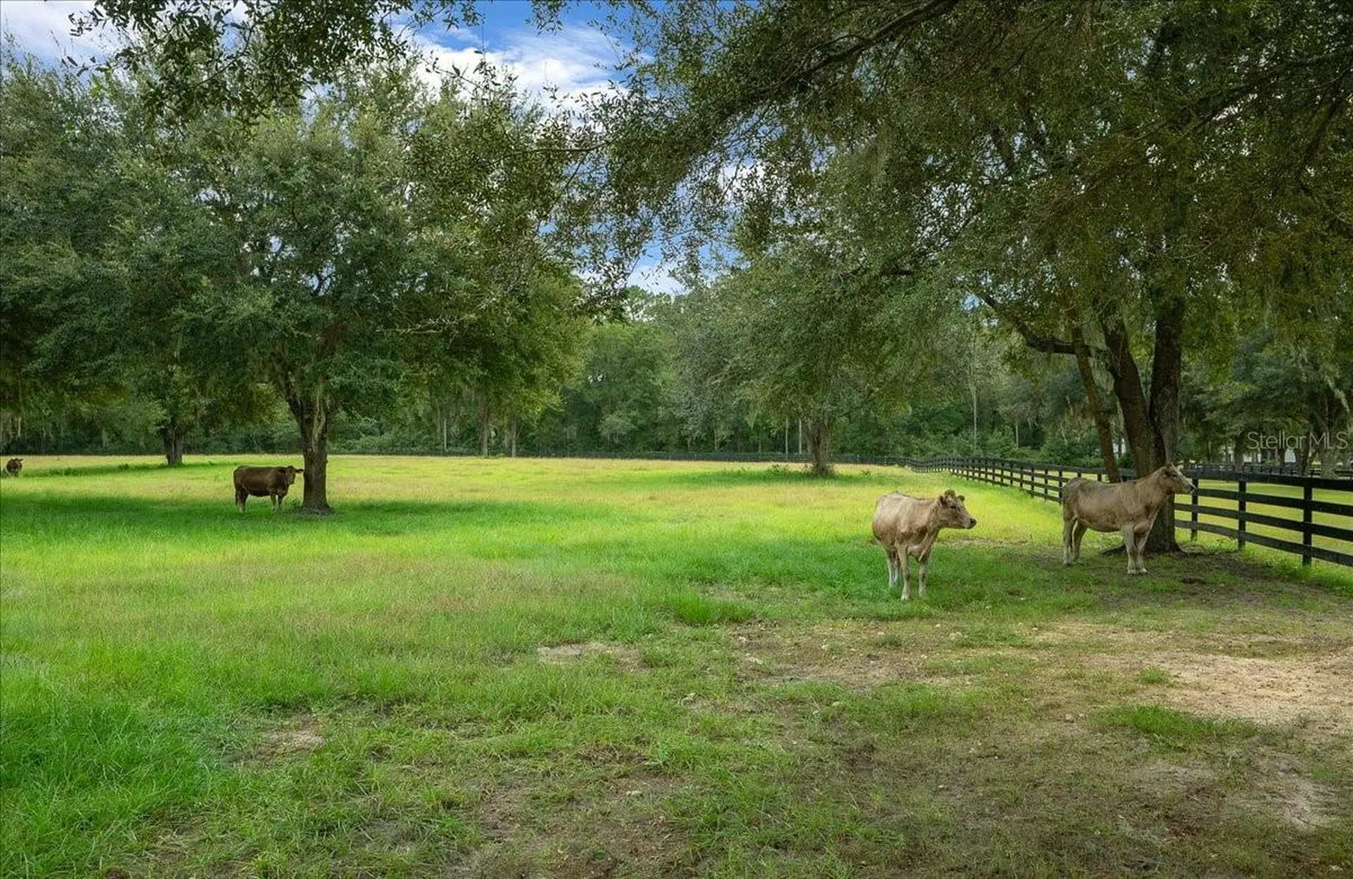 0 NW 150th Avenue Ocala FL 34482