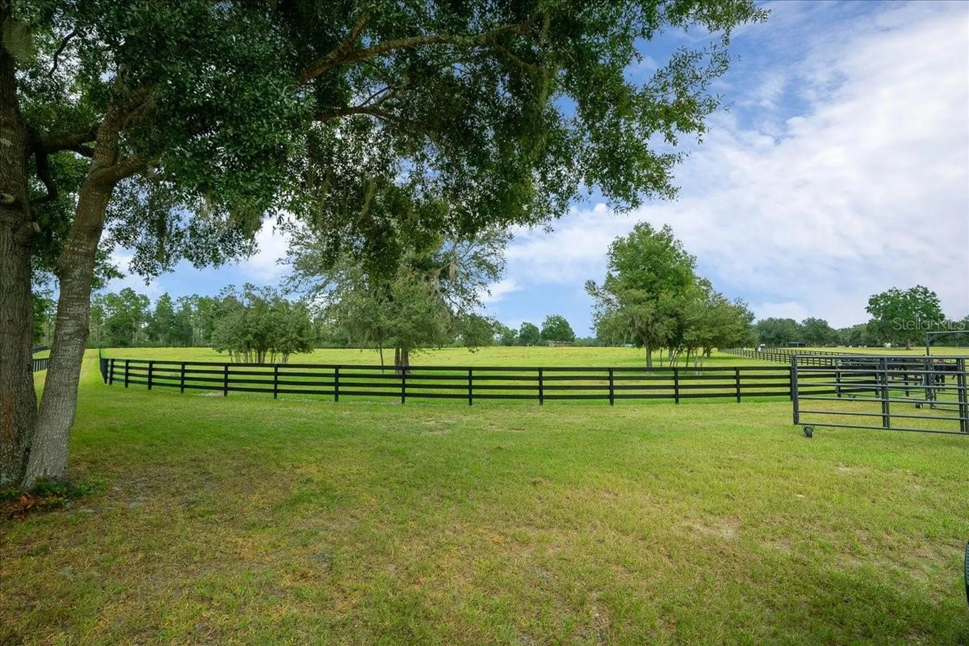 0 NW 150th Avenue Ocala FL 34482