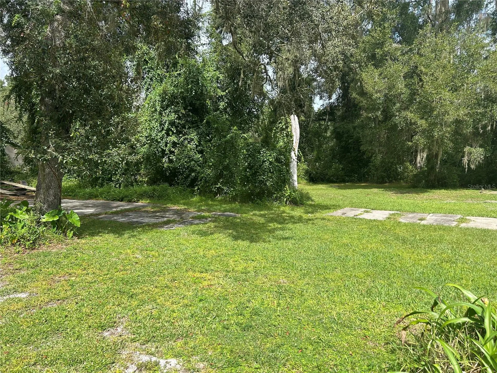 4014 SW 125th Avenue Webster FL 33597