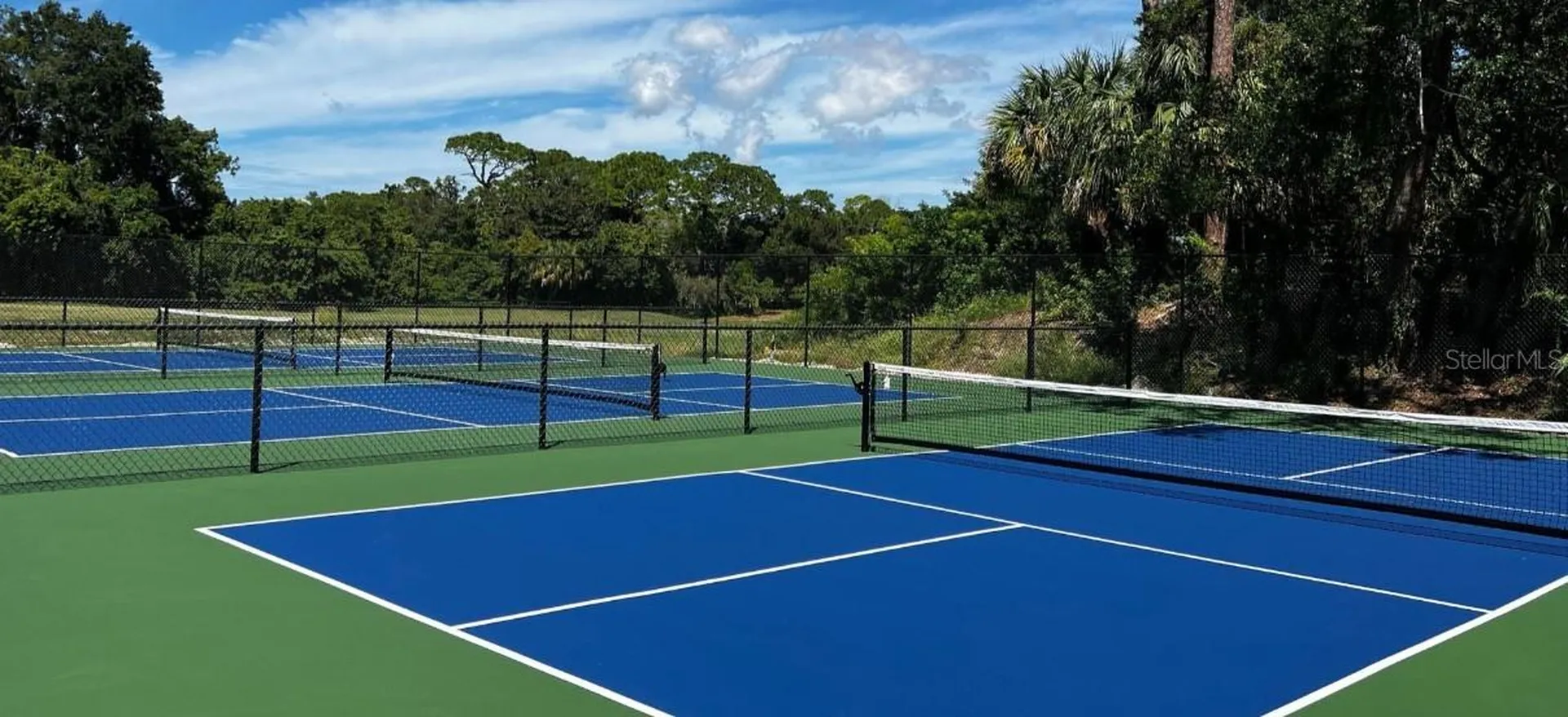 4922 Treeline Drive Palm Harbor FL 34683