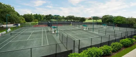 4922 Treeline Drive Palm Harbor FL 34683