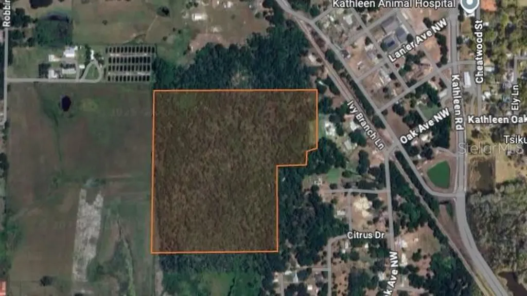 Trail Oaks Lane Lakeland FL 33810