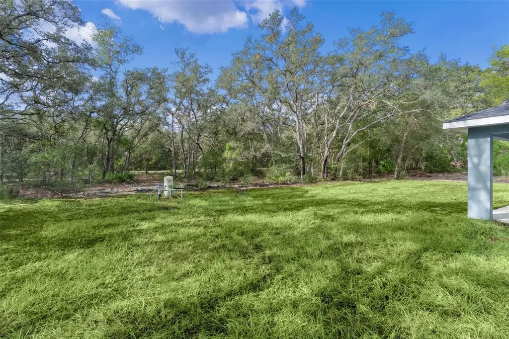 18 Fisher Terrace Way Ocklawaha FL 32179