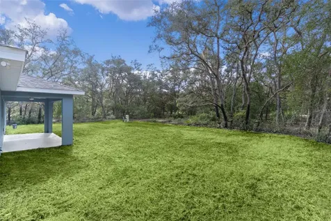 18 Fisher Terrace Way Ocklawaha FL 32179