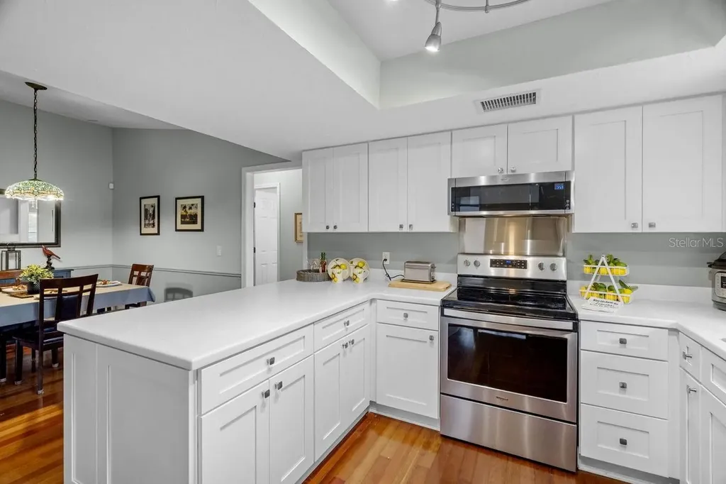 1393 Chesterfield Drive Dunedin FL 34698