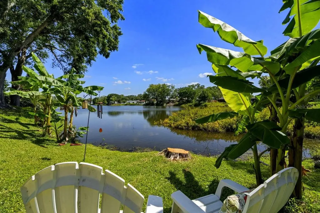 1393 Chesterfield Drive Dunedin FL 34698