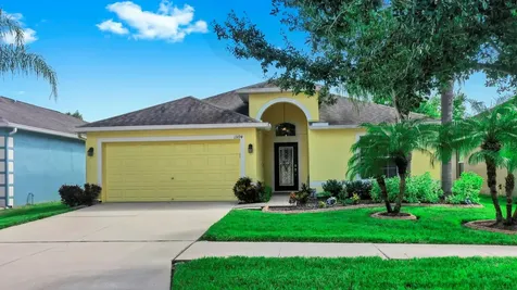 13194 Royal Pines Avenue Riverview FL 33579